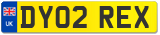 DY02 REX