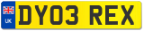 DY03 REX