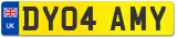 DY04 AMY