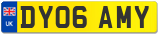 DY06 AMY