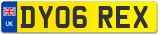 DY06 REX