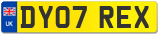 DY07 REX