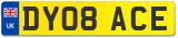 DY08 ACE