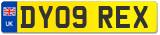 DY09 REX