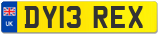 DY13 REX