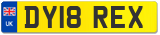 DY18 REX