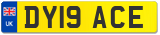 DY19 ACE