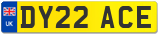 DY22 ACE