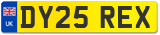 DY25 REX