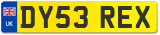 DY53 REX