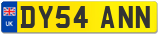 DY54 ANN