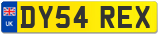 DY54 REX