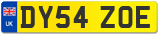 DY54 ZOE