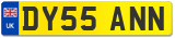 DY55 ANN