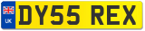 DY55 REX