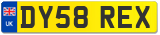 DY58 REX