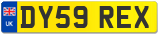 DY59 REX