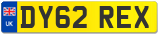 DY62 REX