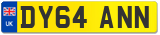 DY64 ANN