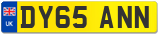 DY65 ANN