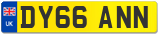 DY66 ANN