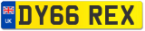 DY66 REX