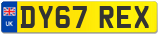 DY67 REX