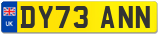 DY73 ANN