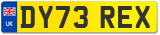 DY73 REX