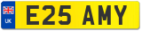 E25 AMY