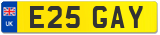 E25 GAY