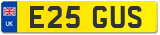 E25 GUS