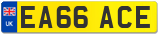 EA66 ACE