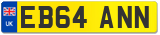 EB64 ANN