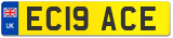 EC19 ACE