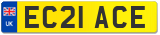 EC21 ACE