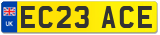 EC23 ACE