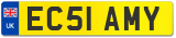 EC51 AMY