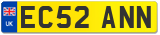 EC52 ANN