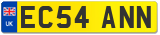 EC54 ANN