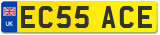 EC55 ACE