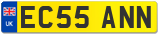 EC55 ANN