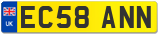 EC58 ANN