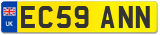 EC59 ANN