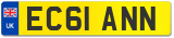 EC61 ANN