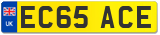 EC65 ACE