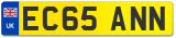 EC65 ANN