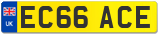 EC66 ACE