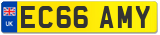 EC66 AMY