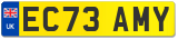 EC73 AMY